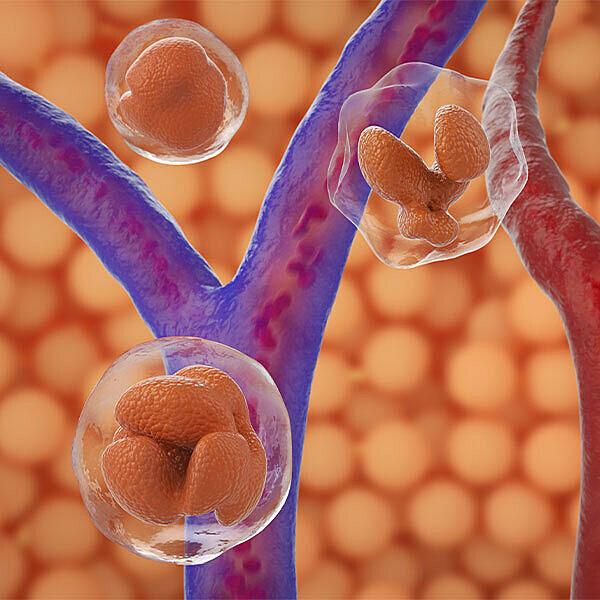 Commercial Spot 600x600